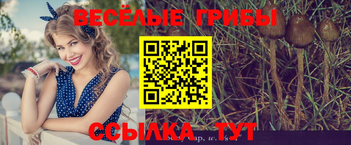 Псилоцибиновые грибы ЛСД  Вход с VPN  Видное  Псилоцибиновые грибы ЛСД 