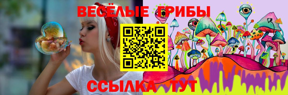 Псилоцибиновые грибы Psilocybe Видное